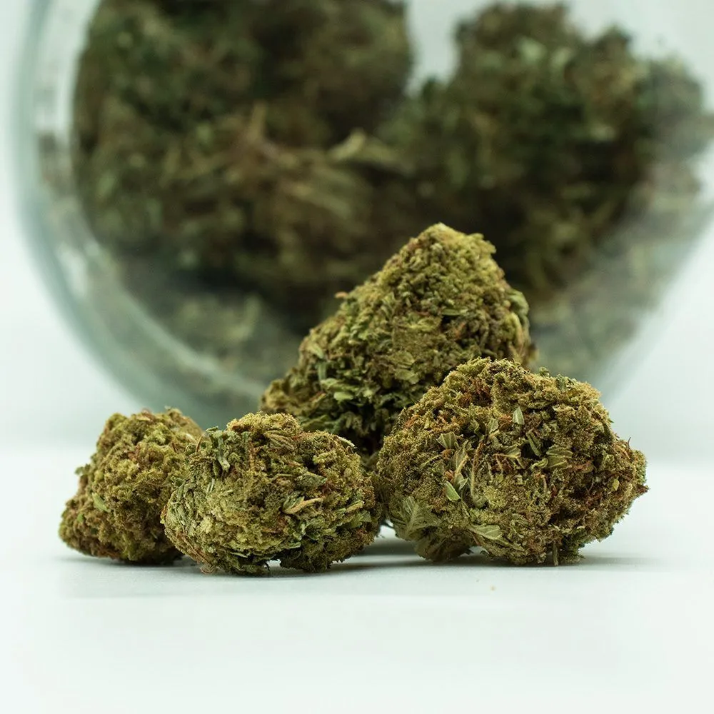 Boutique cbd shop à agen jasmin 07h - 22h 7j/7 3 fleurs de cbd frozendry 3